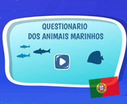 Questionario dos animais marinhos